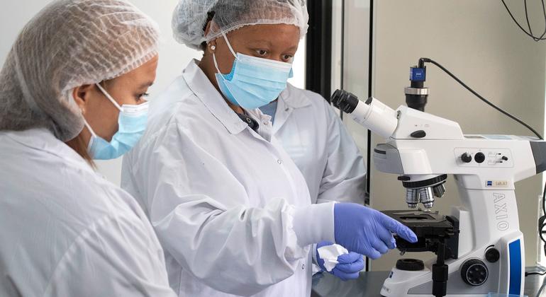 Six pays africains auront leur propre unité de production de vaccin ARNm – OMS